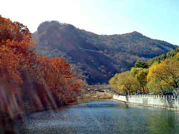 新澳天天开奖资料大全旅游团，保持缄默小说